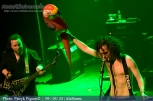 AleStorm 8